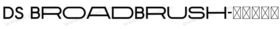 DS BroadBrush字体转换